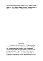 Referāts 'Skolotāja personība', 13.