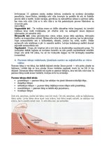 Konspekts 'Inženierģeoloģija', 3.