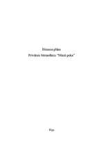 Biznesa plāns 'Biznesa plāns', 1.