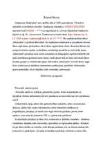 Biznesa plāns 'Biznesa plāns', 2.