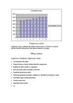 Biznesa plāns 'Biznesa plāns', 5.