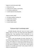 Biznesa plāns 'Biznesa plāns', 6.