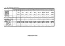 Biznesa plāns 'Biznesa plāns', 10.