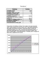 Biznesa plāns 'Biznesa plāns', 13.