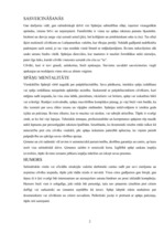 Konspekts 'Lietišķā etiķete Spānijā', 2.