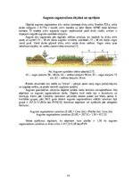 Referāts 'Meža stādīšanas darbu analīze un ekonomiskais pamatojums', 14.