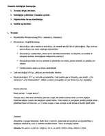 Konspekts 'Zimmela socioloģijas koncepcija', 1.