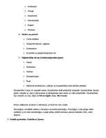 Konspekts 'Zimmela socioloģijas koncepcija', 3.