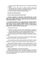 Konspekts 'Konstitucionālās tiesības. Eksāmena jautājumi', 15.