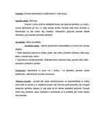 Prakses atskaite 'Pacienta aprūpes plāns', 2.