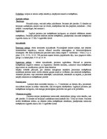 Prakses atskaite 'Pacienta aprūpes plāns', 3.