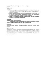 Prakses atskaite 'Pacienta aprūpes plāns', 4.