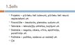 Prezentācija 'Risku analīze', 5.