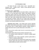 Diplomdarbs 'Valsts un privātā partnerība', 19.