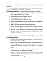 Diplomdarbs 'Valsts un privātā partnerība', 29.
