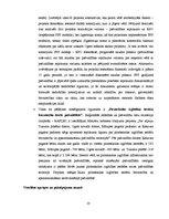 Diplomdarbs 'Valsts un privātā partnerība', 33.