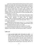Diplomdarbs 'Valsts un privātā partnerība', 38.