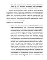 Diplomdarbs 'Valsts un privātā partnerība', 39.