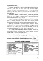Diplomdarbs 'Pārvadājumu organizēšana SIA "Jelgavas tipogrāfija"', 59.