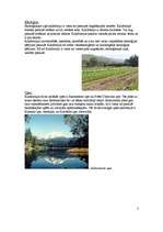 Referāts 'Kalifornijas ģeogrāfija', 8.