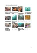 Referāts 'Kalifornijas ģeogrāfija', 14.