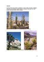 Referāts 'Kalifornijas ģeogrāfija', 15.