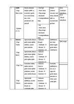 Referāts 'Uzņēmējdarbība', 6.