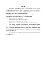 Referāts 'Administratīvo tiesību sistēma', 2.