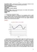 Biznesa plāns 'SIA "Stila zīmes"', 12.