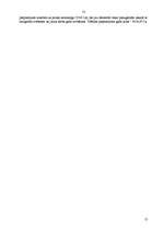 Biznesa plāns 'SIA "Stila zīmes"', 13.