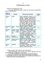 Biznesa plāns 'SIA "Stila zīmes"', 19.