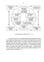 Diplomdarbs 'Skolas vadības darbība skolēnu darba drošības un arodveselības iemaņu veidošanā', 32.