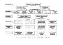 Diplomdarbs 'Skolas vadības darbība skolēnu darba drošības un arodveselības iemaņu veidošanā', 52.