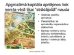 Prezentācija 'Naudas līdzekļu pārvaldīšana', 12.
