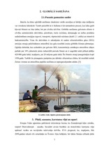 Referāts 'Trīs globālās ekonomiskās problēmas Latvijā', 7.