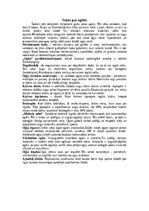 Referāts 'Ieži', 16.