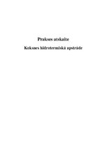 Prakses atskaite 'Koksnes hidrotermiskā apstrāde', 1.