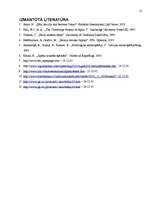 Referāts 'Tōdaidži templis, tā simbolika', 12.