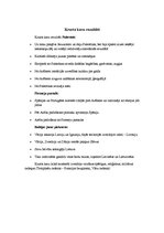 Konspekts 'Krusta kari', 4.