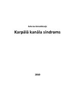 Referāts 'Karpālā kanāla sindroms - rehabilitācija', 1.