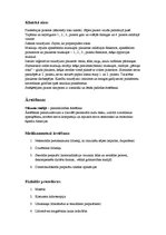 Referāts 'Karpālā kanāla sindroms - rehabilitācija', 4.