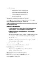 Referāts 'Karpālā kanāla sindroms - rehabilitācija', 5.