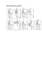 Referāts 'Karpālā kanāla sindroms - rehabilitācija', 11.