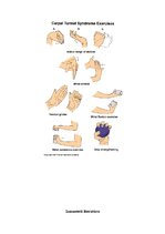 Referāts 'Karpālā kanāla sindroms - rehabilitācija', 12.