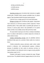 Diplomdarbs 'Rēzeknes pilsētas pašvaldības ekonomiskais raksturojums', 37.