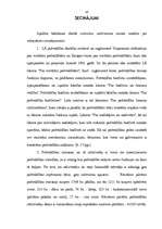 Diplomdarbs 'Rēzeknes pilsētas pašvaldības ekonomiskais raksturojums', 60.