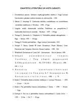 Diplomdarbs 'Rēzeknes pilsētas pašvaldības ekonomiskais raksturojums', 64.