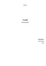 Referāts 'Francija', 1.