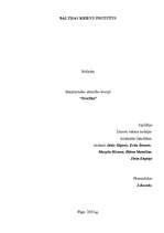 Referāts 'Drošība', 1.