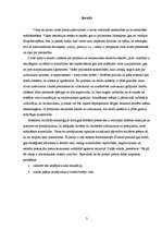 Referāts 'Drošība', 3.